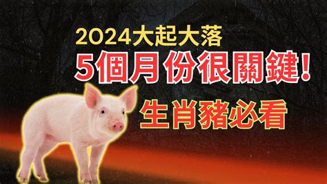 2024年屬豬運程